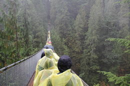 Photo of Capilano Suspension Bridge Walking across the bridge and taking in the beauty of nature., Erik - October 2015