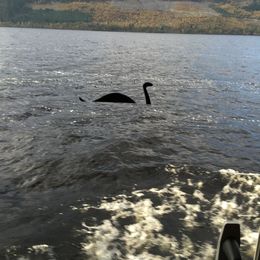 Photo of Glorious Day in the HIghlands Nessie made an appearance while we were on the optional boat ride on Loch Ness. , Cheryl L - November 2015
