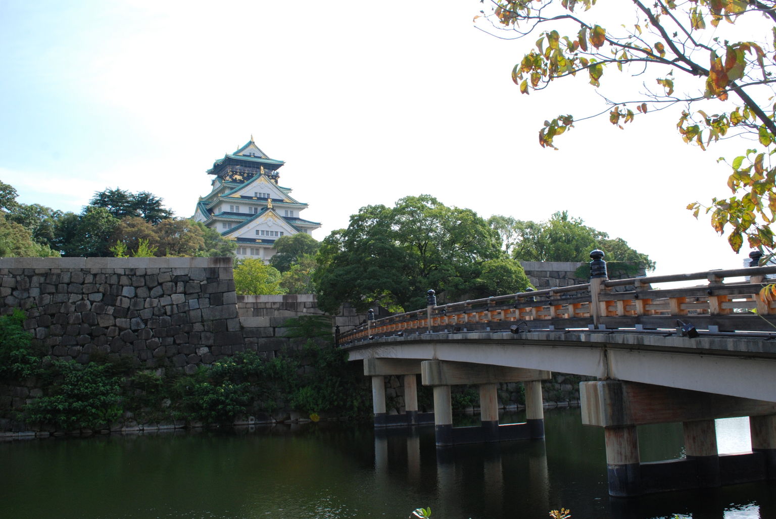 Osaka castle from the distance