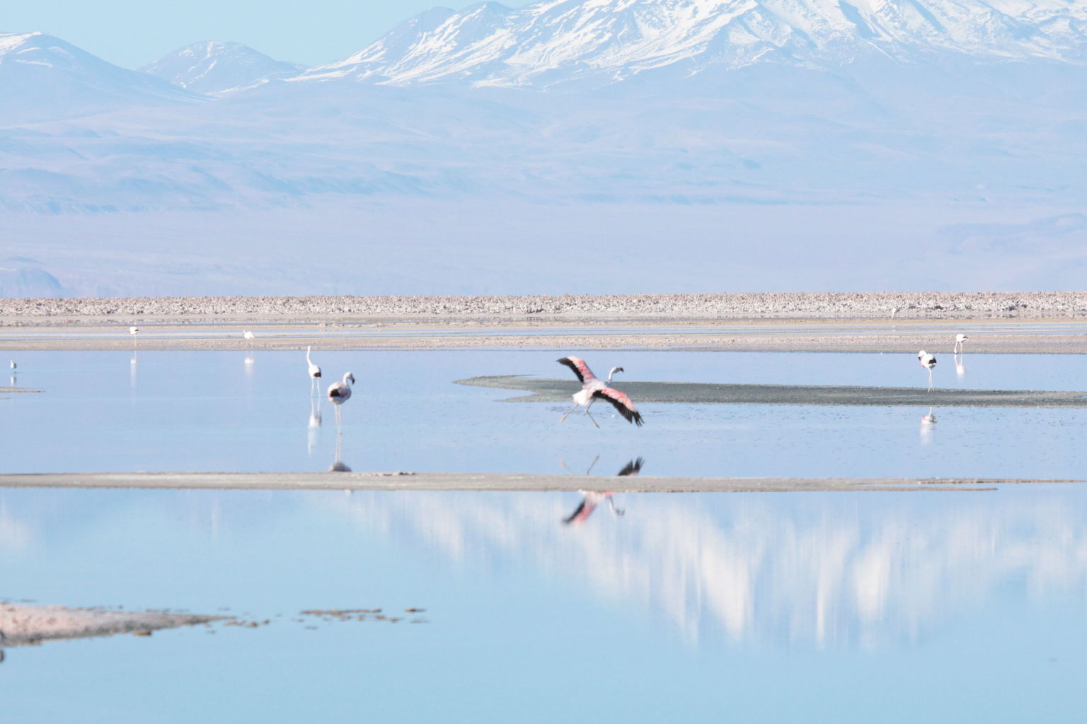 Atacama Salt Flat