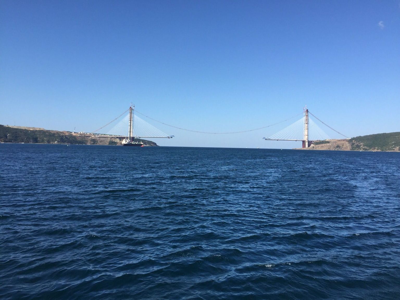 Cruise