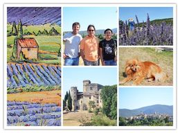 Photo of Lavender Capital Visiting the lavender fields is a must when you visit the Provence! , Geraldine - August 2016