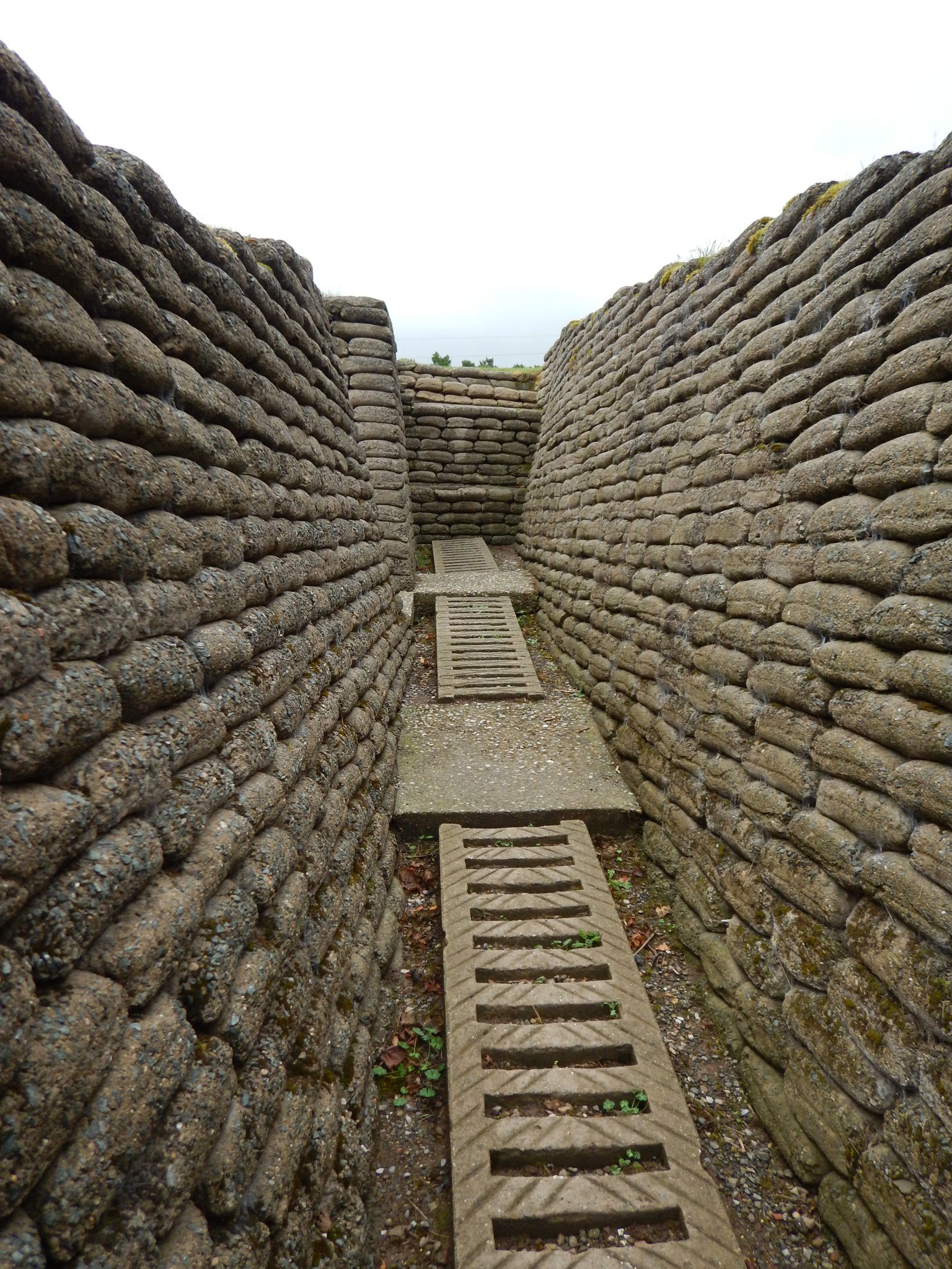 Trench Vimy Ridge