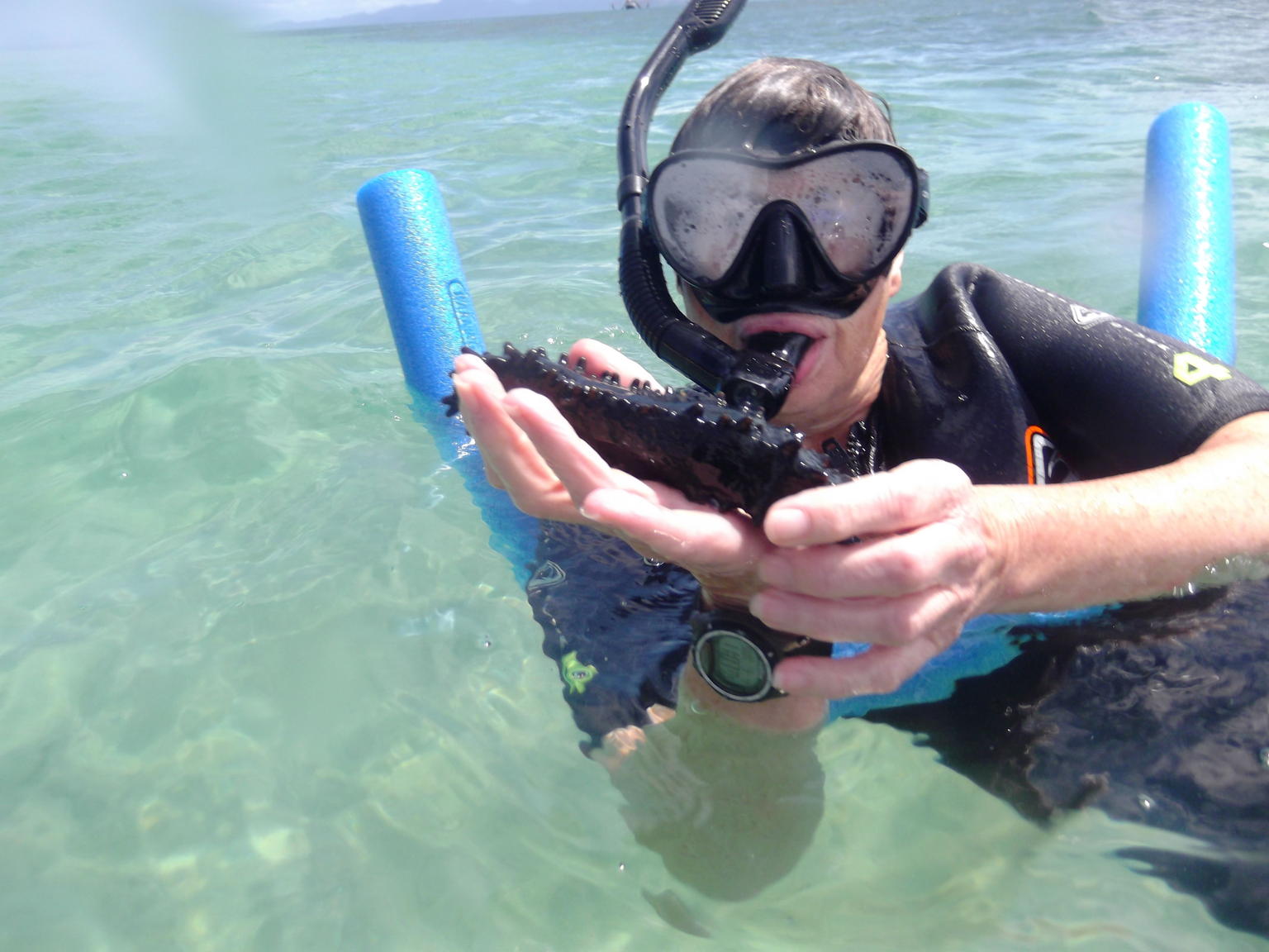 Holding a sea cucumber