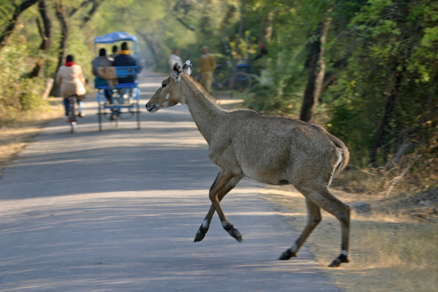 Koleado National Park