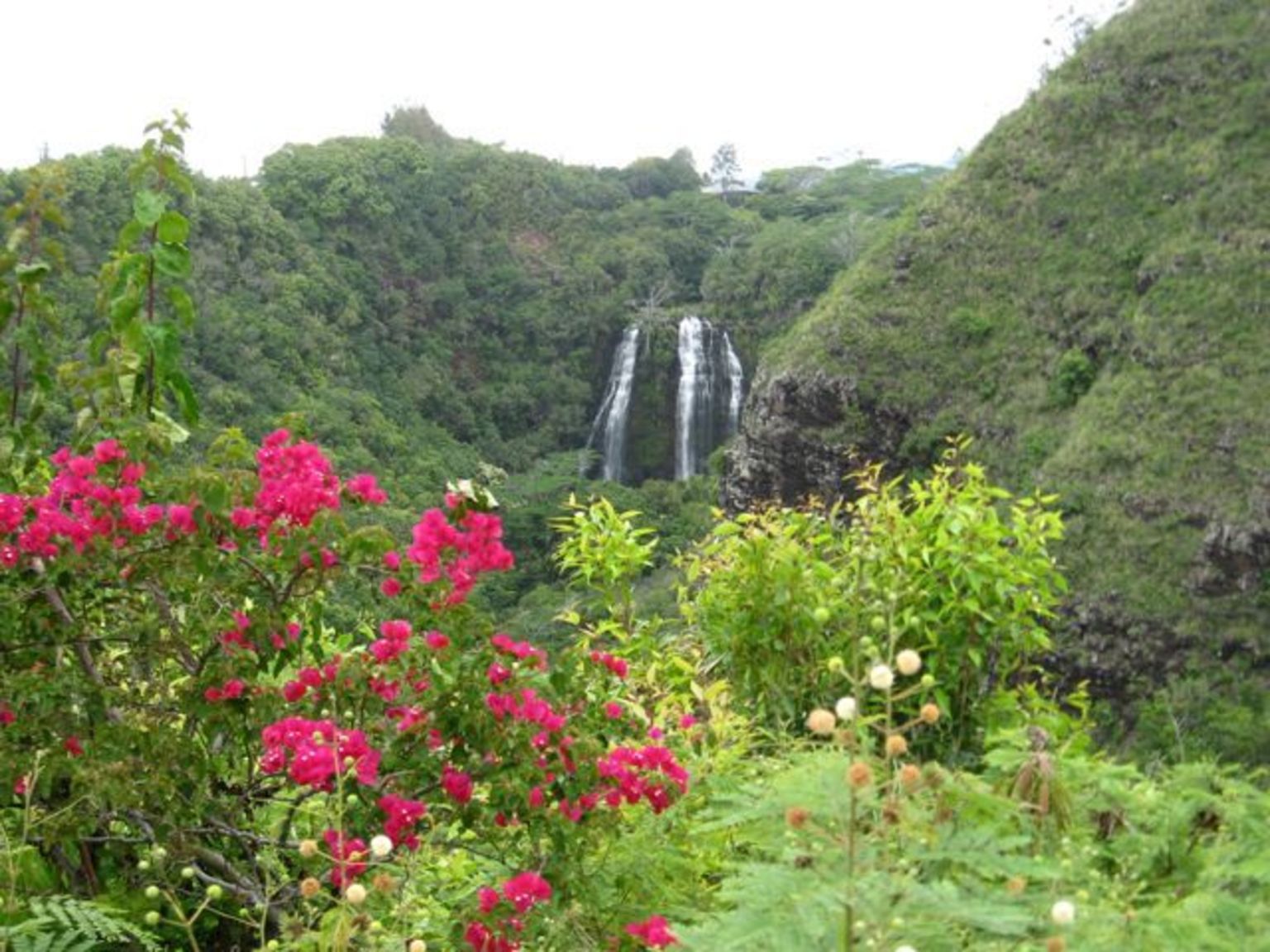 Opaekaa Falls