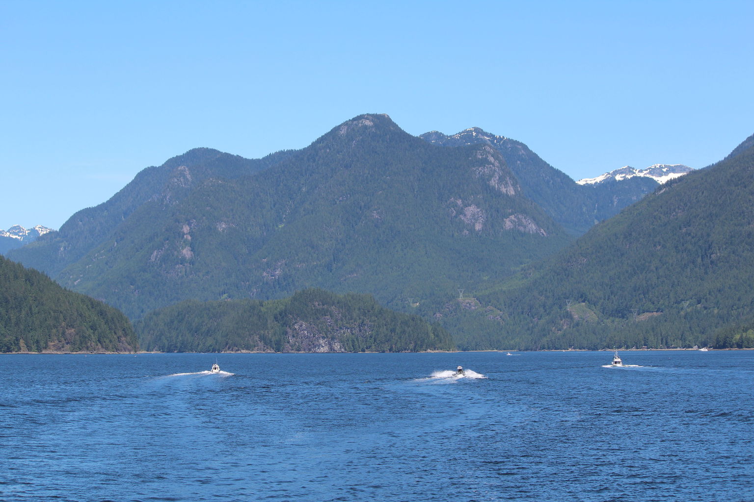 In Indian Arm