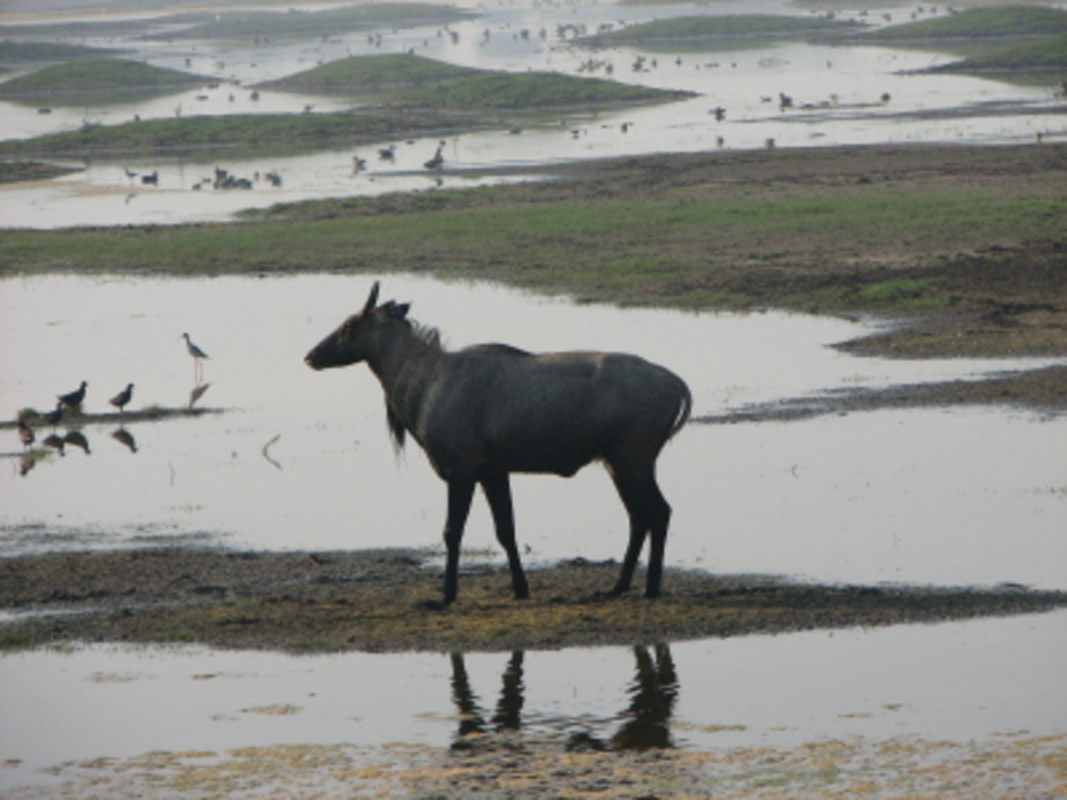 Koleado National Park