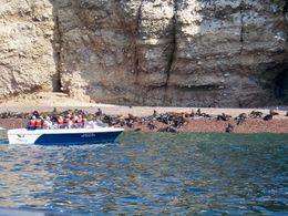 Photo of Nazca Lines Air Tour and Ballestas Islands Day-Trip Approaching a colony of sea lions at Ballesta Islands just far enough to take good photos, Tim Leffel - August 2011