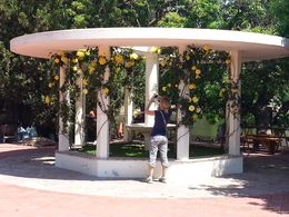 Photo of Photographing the Roses El Rosedal, in Parque Tres de Febrero. , Courtenay Strickland - November 2013