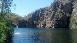 Photo of Swimming at Edith Falls One of our stops was swimming at Edith Falls during day tour from Darwin to Katherine Gorge , Carmel T - November 2015