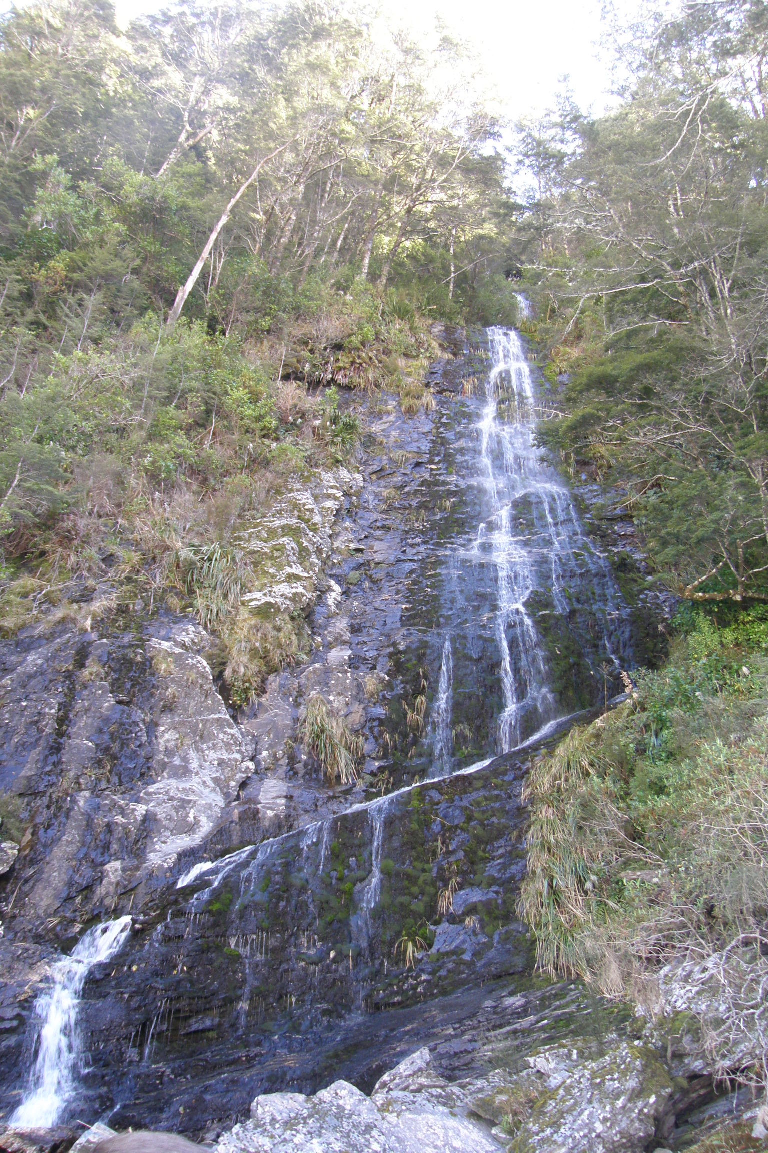 Dart River Jet Boat Ride