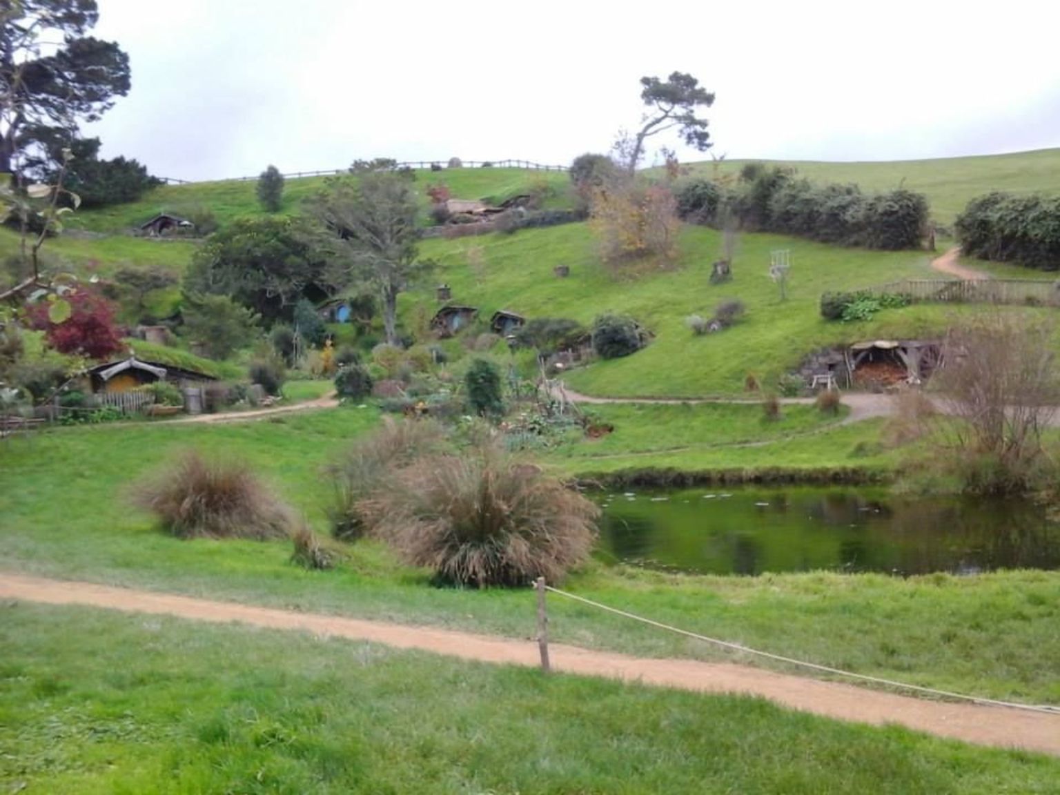 Hobbiton village 3.jpg