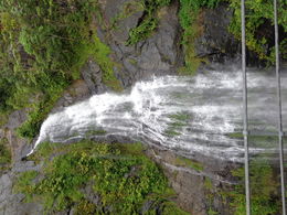 Photo of Stoney Creek Falls Had to take the photo pretty fast since the train hadn't slowed down as much , Gillian C - May 2016