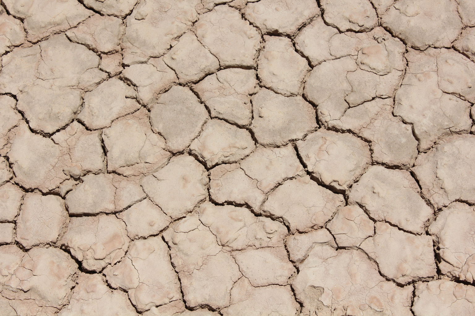 Dry Lake Bed