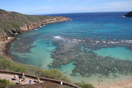 Photo of Left side of Hanauma Bay Everybody takes a photo of the right side of the bay and beaches. Just thought I would post what the left side looks like. It's such a beautiful place! , Val D - October 2012