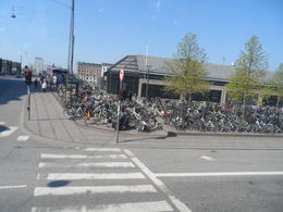 Photo of Copenhagen Bicycles Could not believe how many people rode there bikes to work in the morning. Amazing. , Alfred L - June 2013