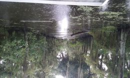Photo of This is the swamp view! This is what our view of the swamps looked like, totally awesome! , karenalex67 - August 2016
