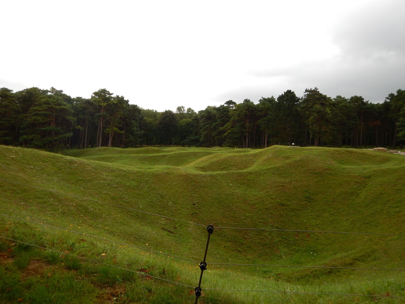 Vimy Ridge