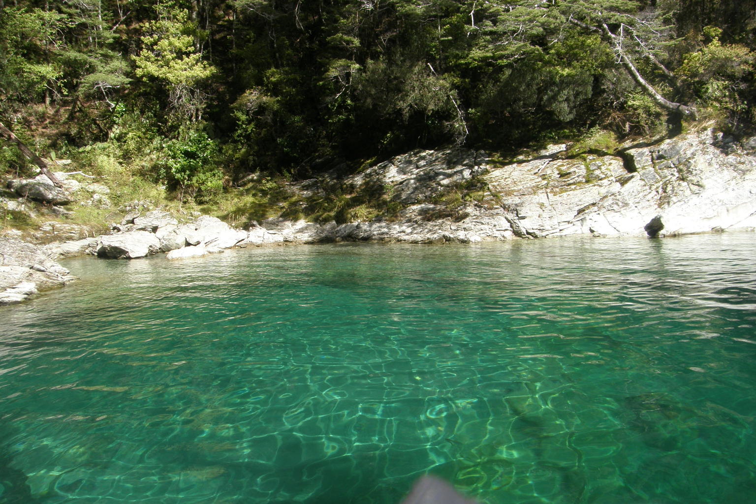 Dart River Jet Boat Ride