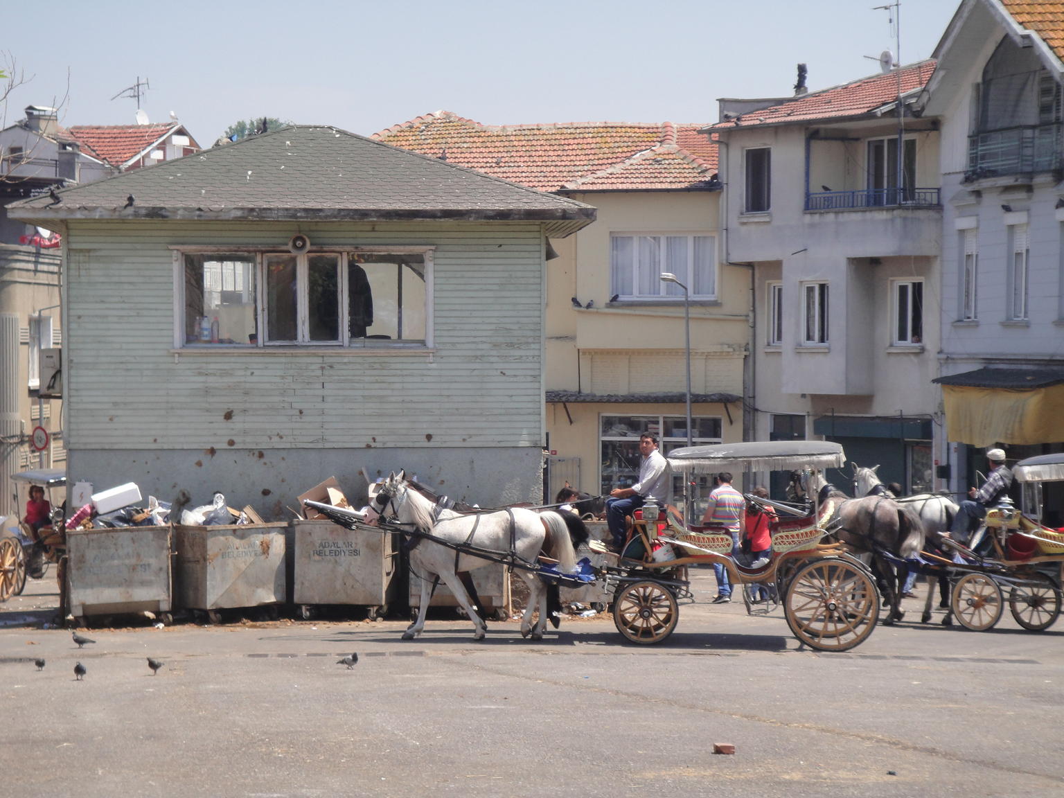 Princes�� Island Tour from Istanbul: Buyukada