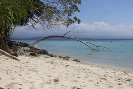 Photo of Sapa Island One of the island beaches with less tourists. Ask safe guards how to get there , Daria V - January 2016