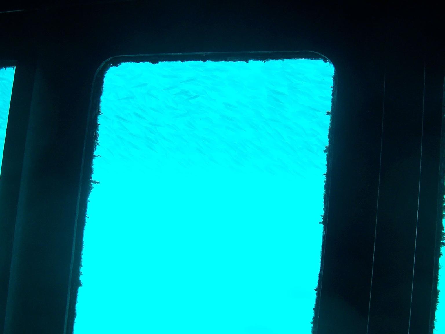 Underwater Window