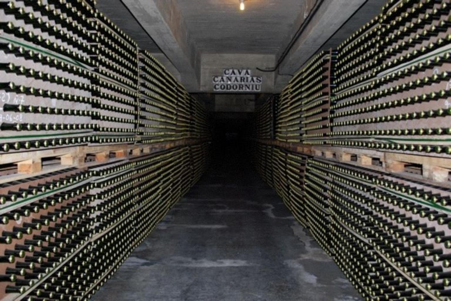 Cava - 120 Million Bottles