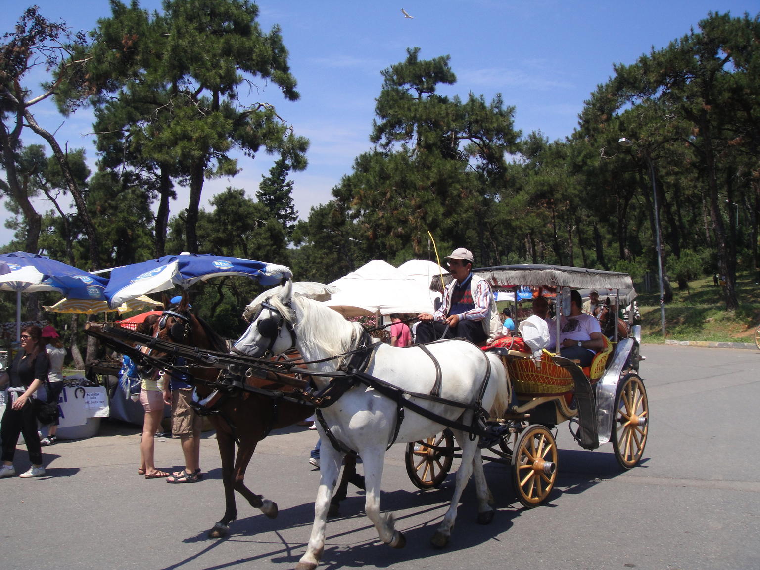 Princes�� Island Tour from Istanbul: Buyukada