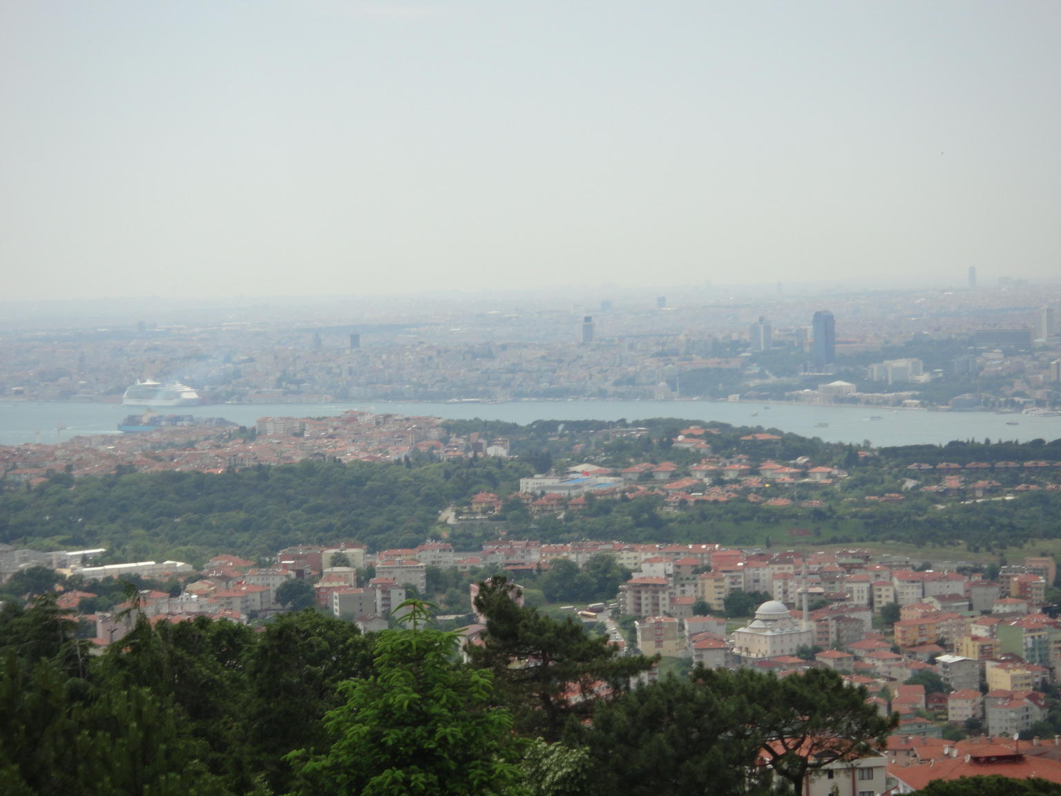 DSC00343