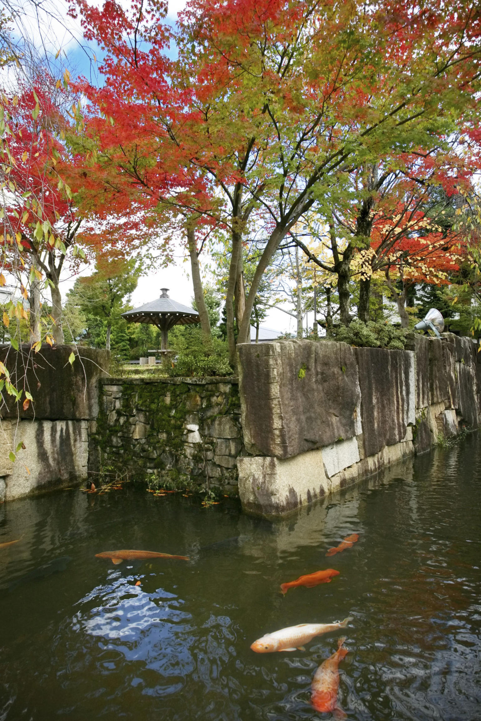 Japanese garden