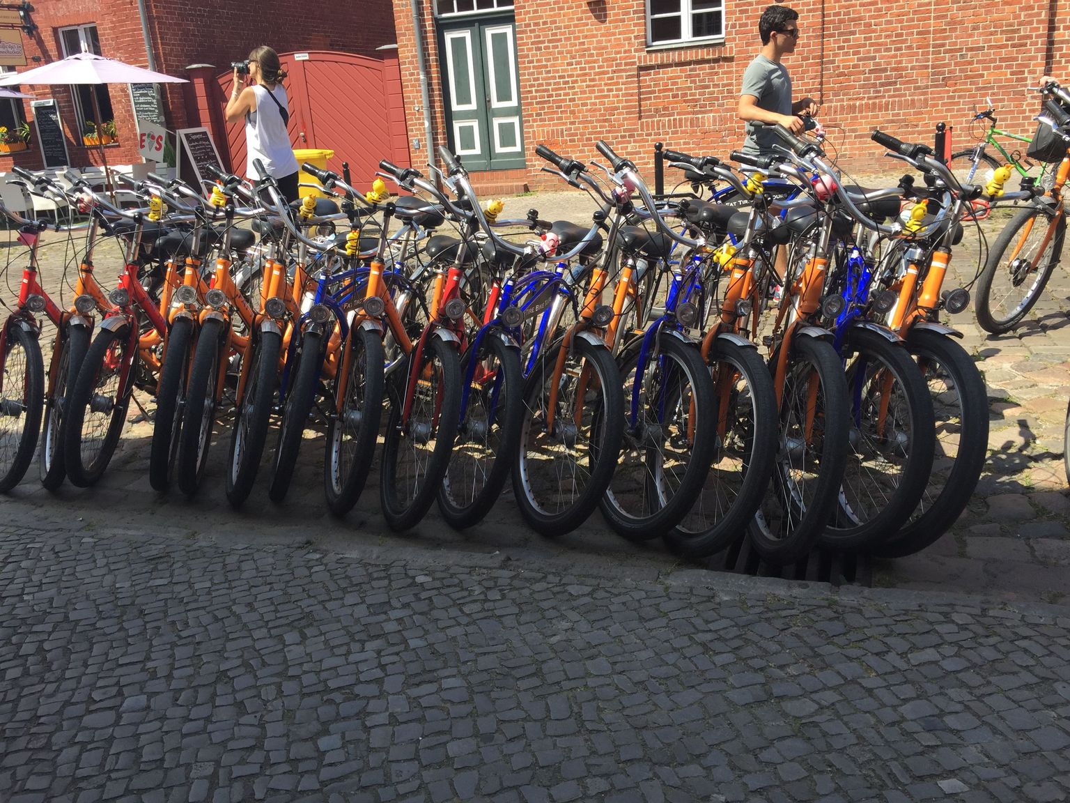 Many comfy bikes