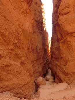 Photo of Bryce Canyon The walk down Bryce Canyon is just too good to miss. Best part of the tour. Beware though, walking down is easy, up is tougher than expected. , YewHua T - July 2016