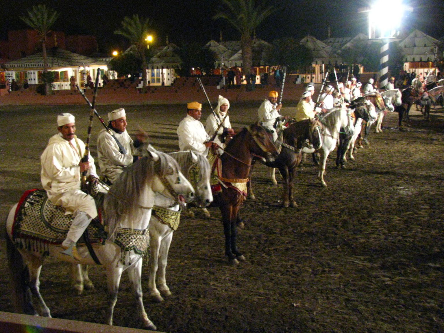 Horses
