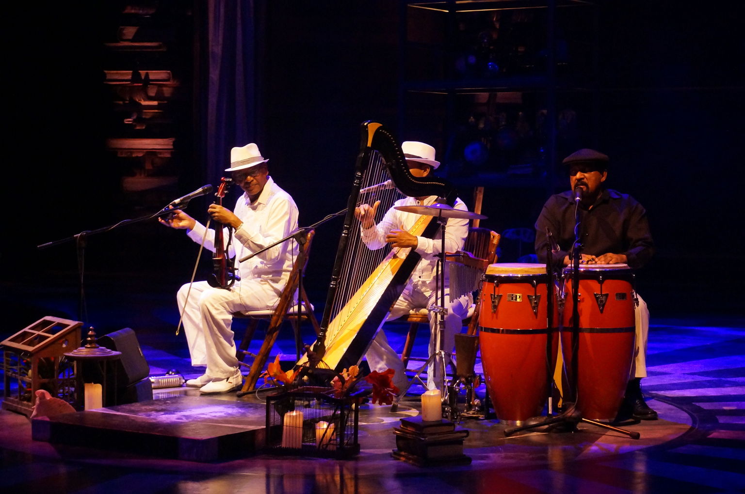 Musicians