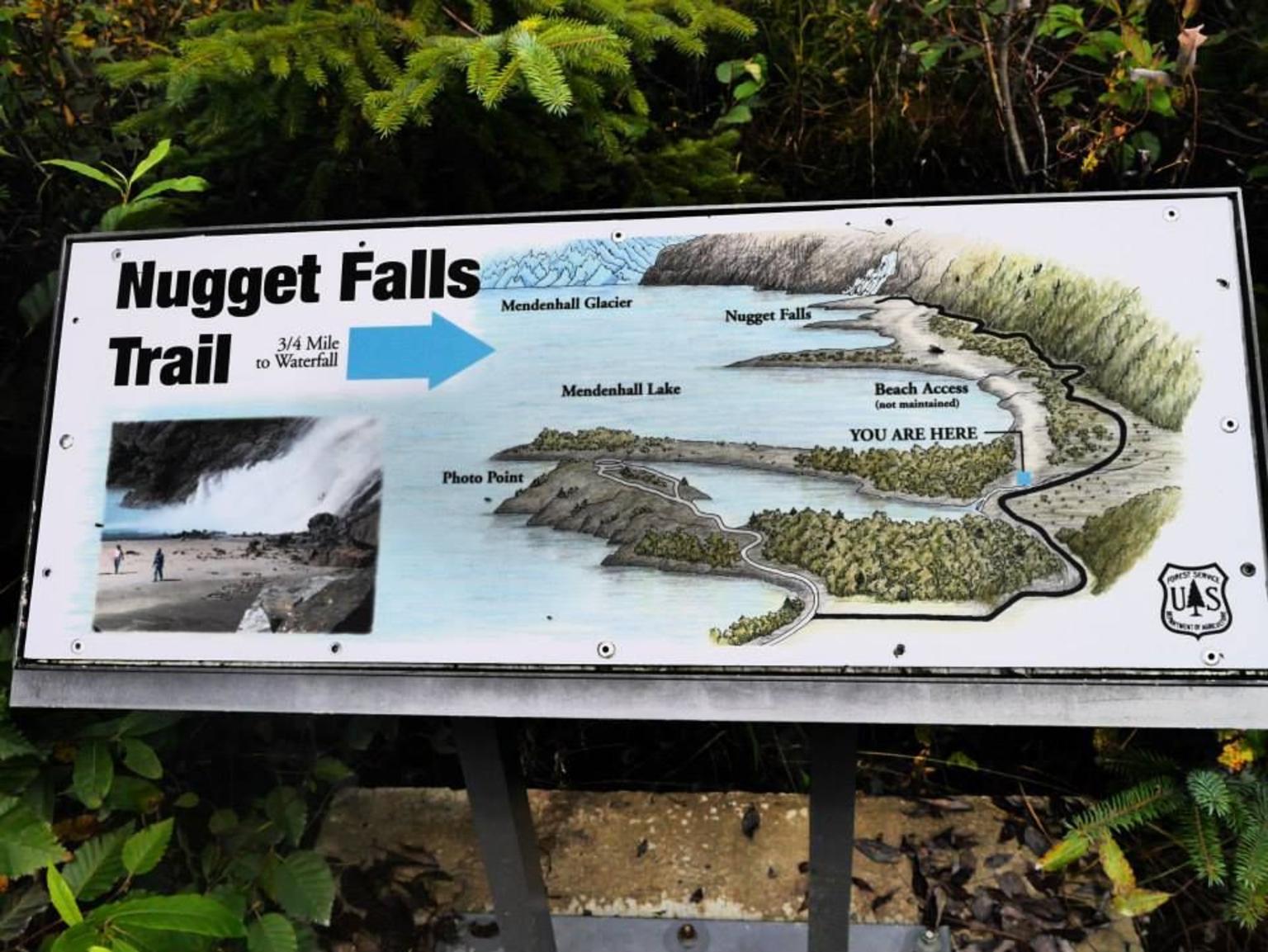 Nugget Trail @ Medenhall Glacier