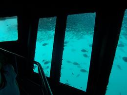 Photo of Underwater Room and Fish Reefworld platform underwater viewing room., KylieS - March 2008