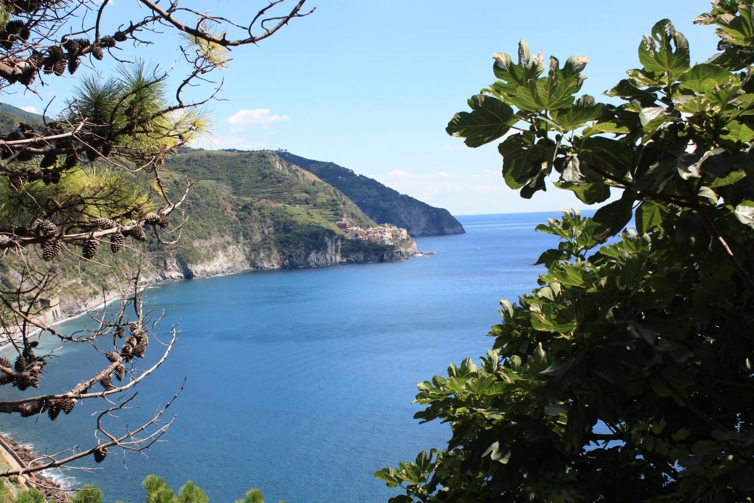 Cinque Terre Village