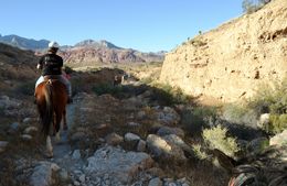 Photo of Horseback ride Red Rock Canyon. My friend, Linda. I was on the horse in back of her taking pictures. , KAREN L S - April 2016