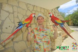 Photo of Parrots As you walk in there are photographers taking pictures of you with tame parrots - who are very friendly, very photogenic, and very light. They don't bite either! , Ian L - June 2016