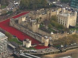 Photo of View of Tower of London Poppy display taken from The Shard on Nov 11/14 Thousands of Poppies fill the moat at The Tower in remembrance of those whose sacrifices made possible our many freedoms. May they rest in peace. , Blair Q - November 2014