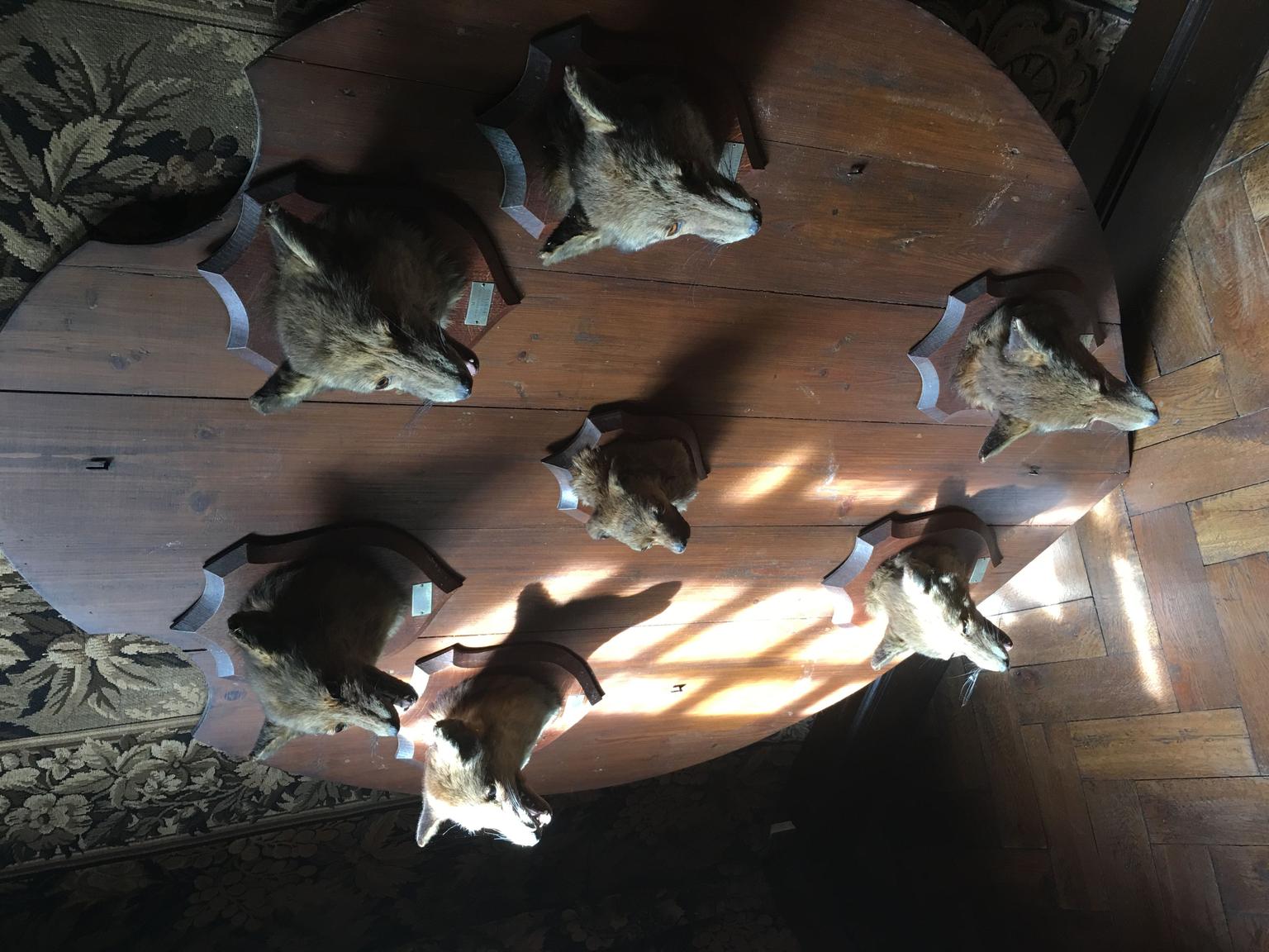 Bordeaux Super Saver: Small-Group Wine Tasting and Lunch plus St-Emilion Wi