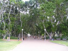 Photo of Sydney Bike Tour - Hyde Park Hyde Park has nice wide paths that are nice for riding through., Christine C - July 2008