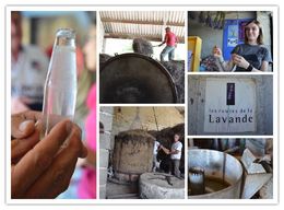 Photo of Lavender Distillery in Sault Educational and Inspiring , Geraldine - August 2016