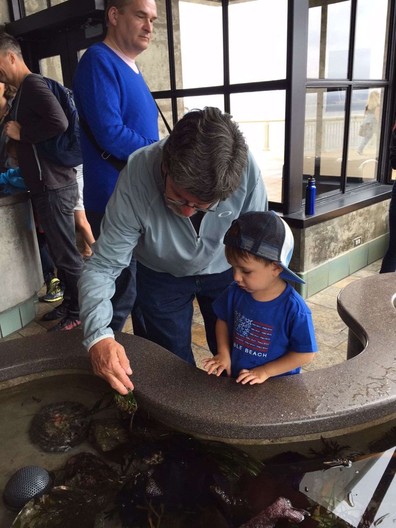 Monterey Aquarium