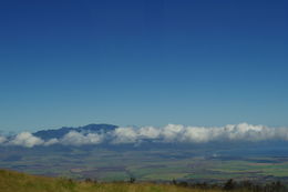 Photo of Central Maui on the way to Haleakala On the way to Haleakala, we saw green pastures, cows and mountain bikers , Barbara J K - July 2016