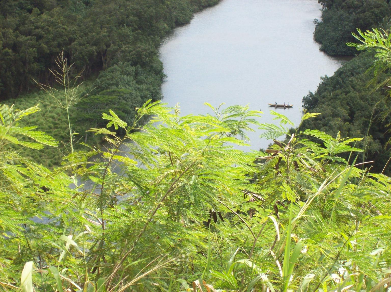 Wailua River