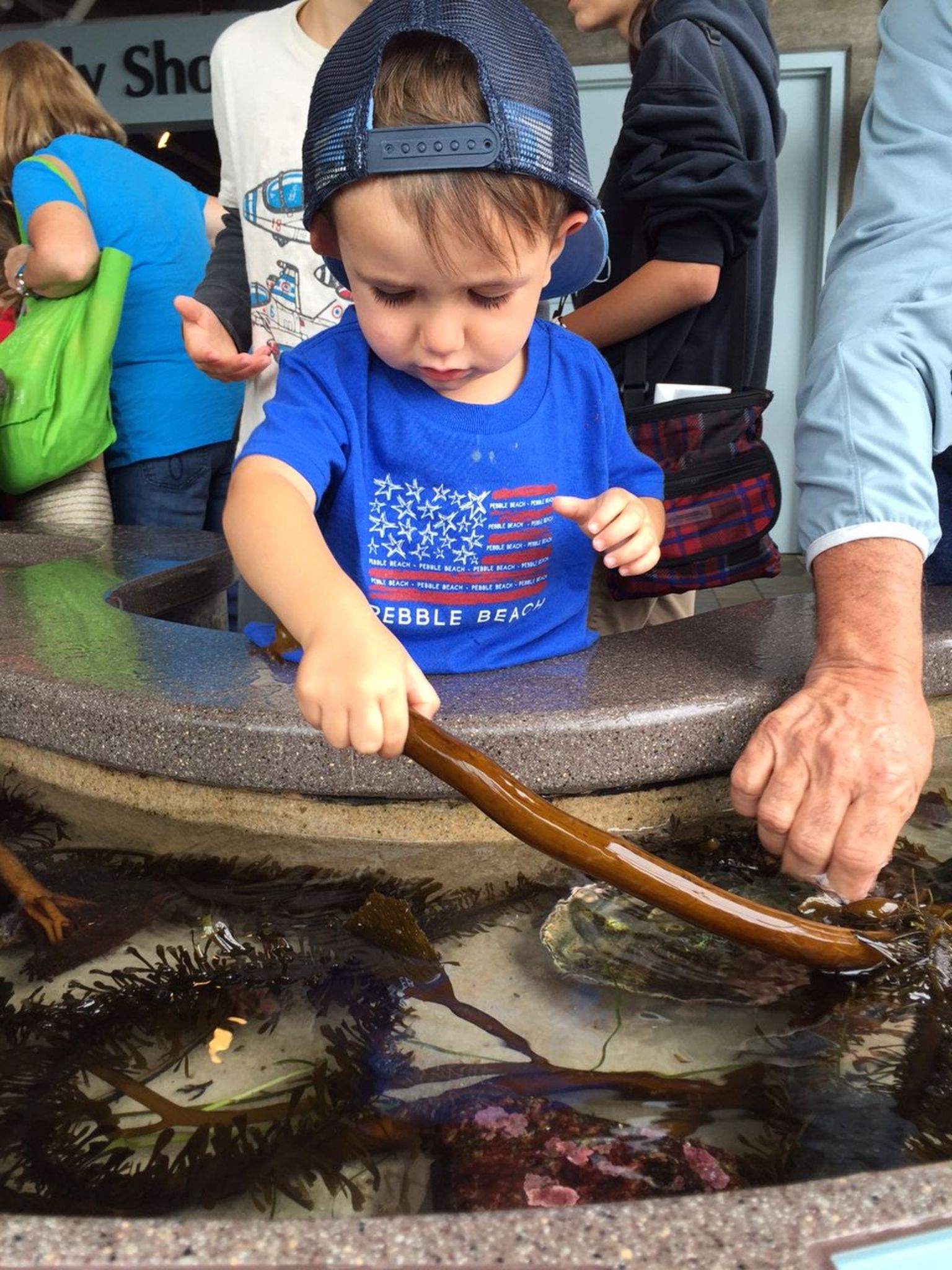 Monterey Aquarium