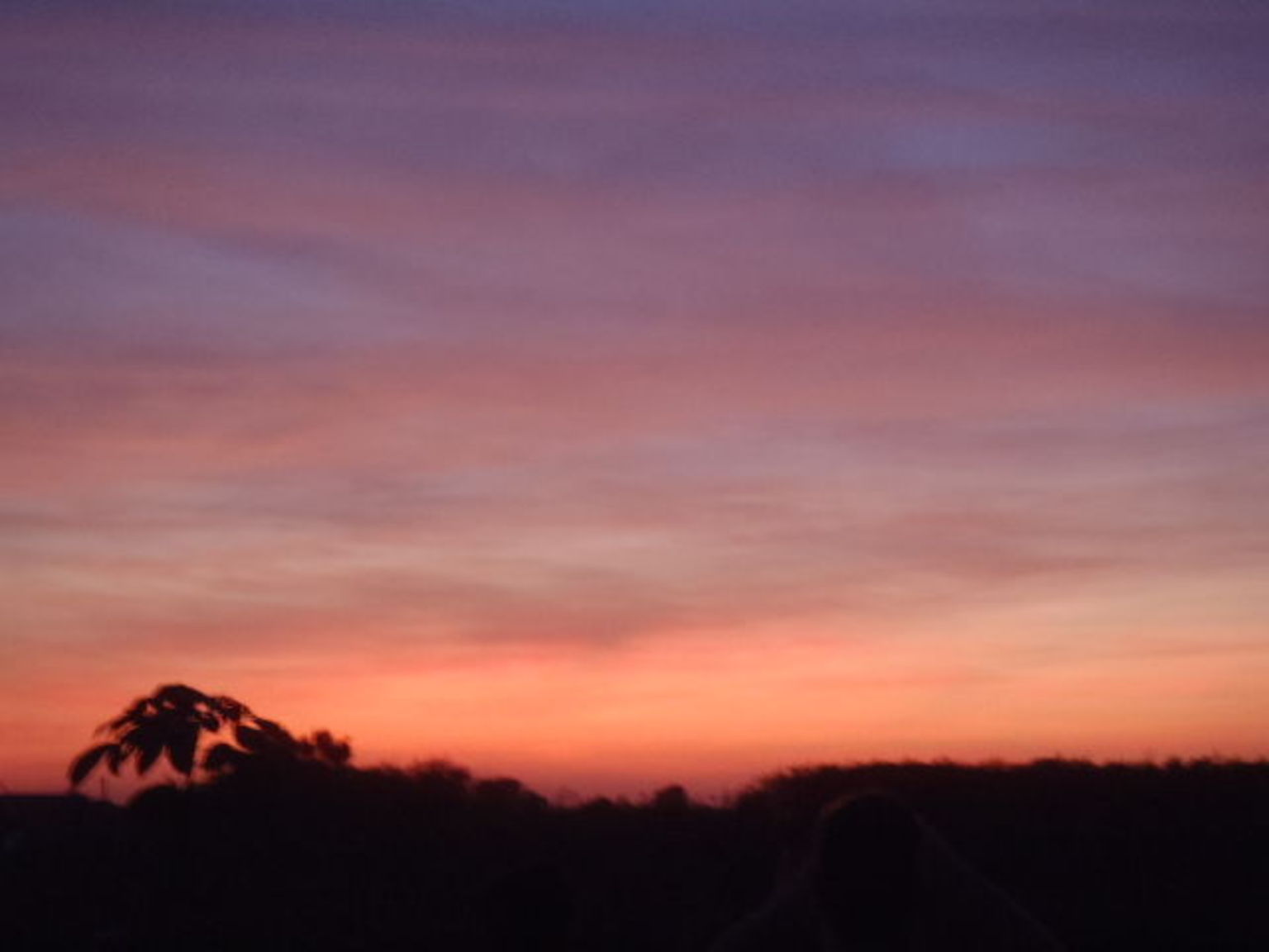 Sunrise over the rubber plantation at Long Tan