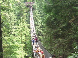 Photo of Capilano Suspension Bridge Capilano Bridge was full of suspense and provided lots of laugh for my husband , Joanne C - August 2016